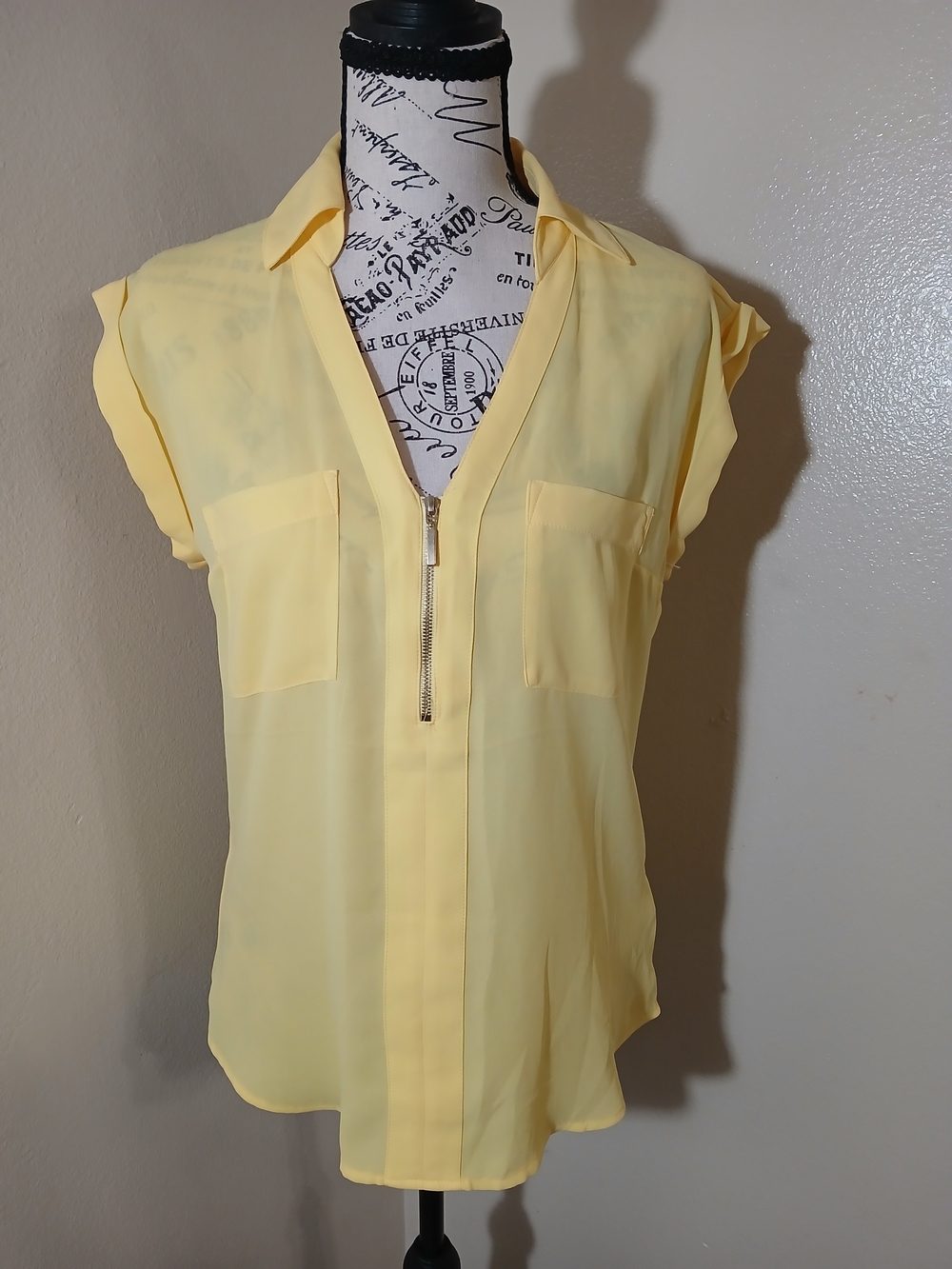 Express Pale Yellow Zip-Front Sheer Blouse